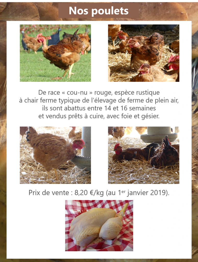 Nos poulets !